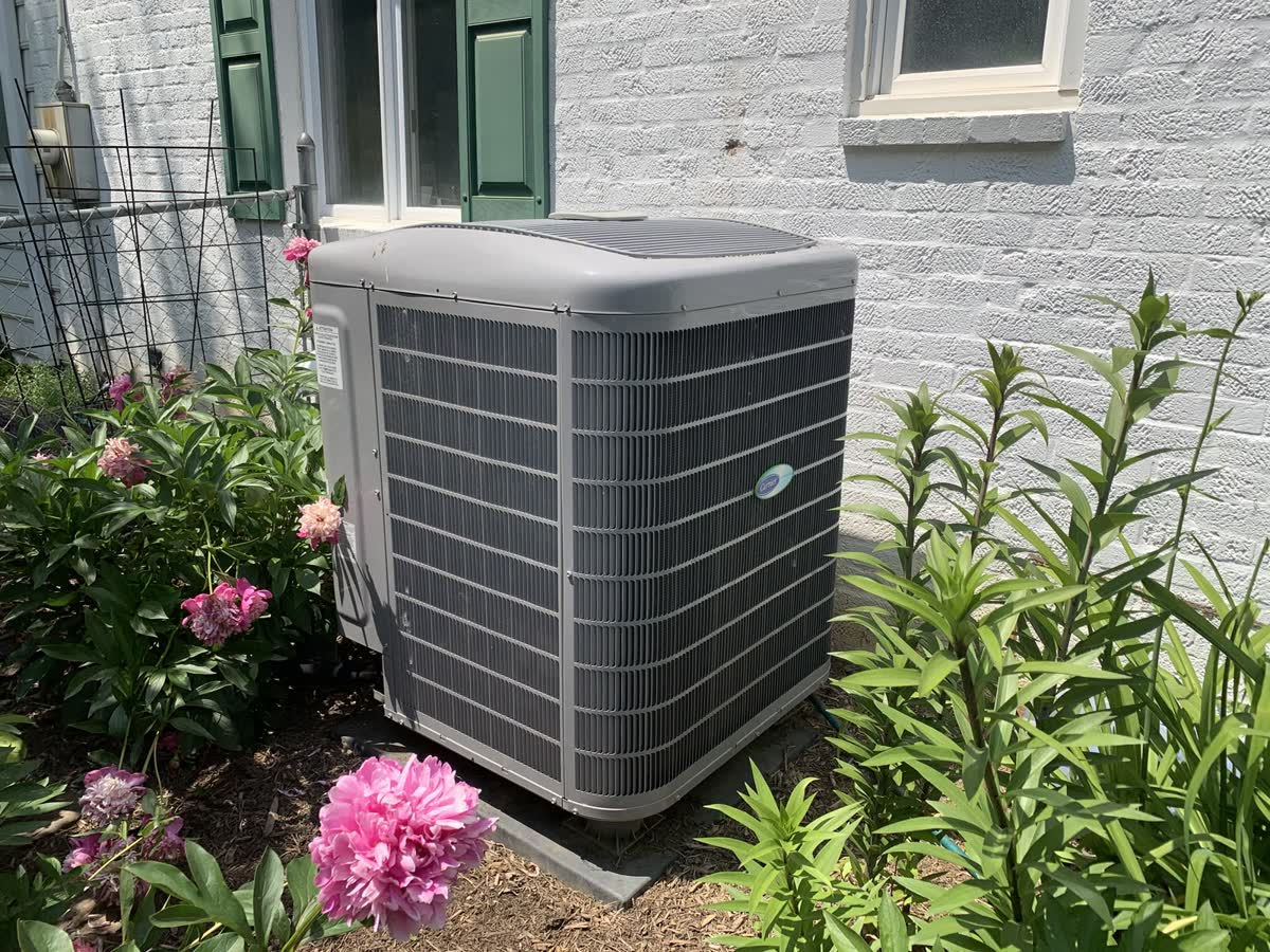 Carrier condenser installed beside a garden